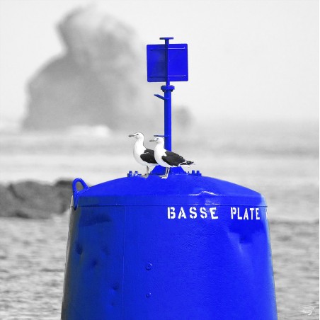 Tourelle bleue, balisage maritime