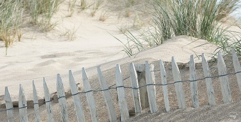 Photo Dunes and Oyats, Brittany par Philip Plisson